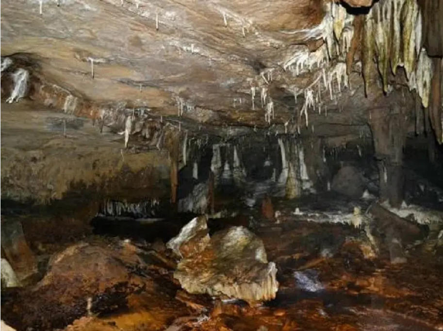 UNESCO: Mawmluh Cave in Meghalaya first Indian Geoheritage Site