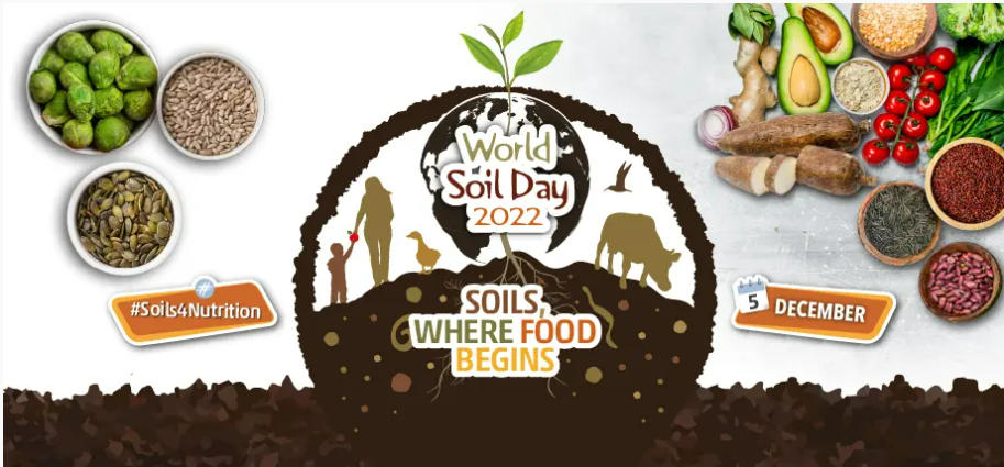 World Soil Day observed on 5th December