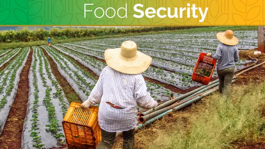 2022 Global Food Security Index (GFSI) Report