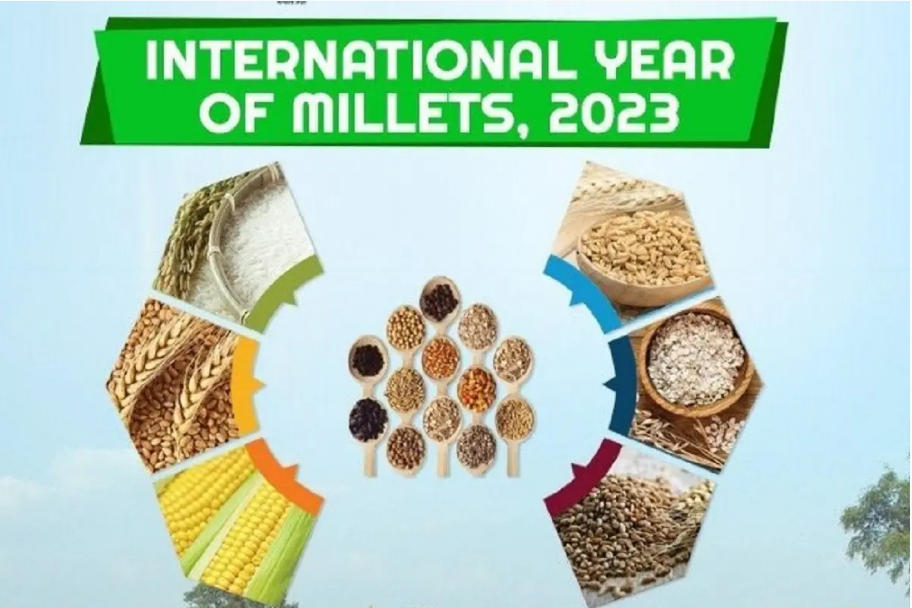 International Year of millets 2023