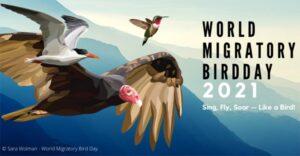 World Migratory Bird Day: 08 May | जागतिक स्थलांतरित पक्षी दिन: 08 मे_2.1