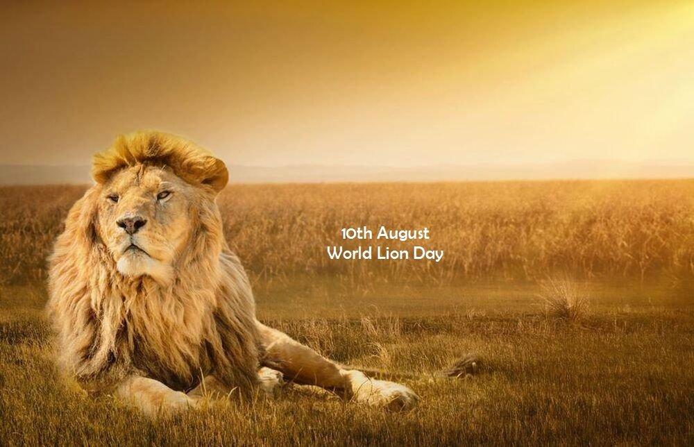 10 August: World Lion Day | 10 ऑगस्ट: जागतिक सिंह दिवस