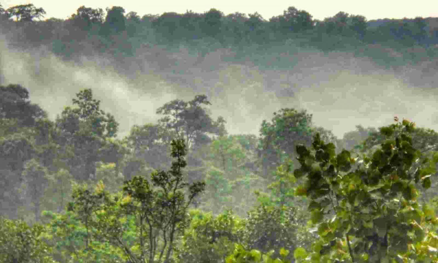 Chhattisgarh to recognise Forest Resource Rights in Urban Region | छत्तीसगड शहरी क्षेत्रातील वन संसाधन हक्कांना मान्यता देणार