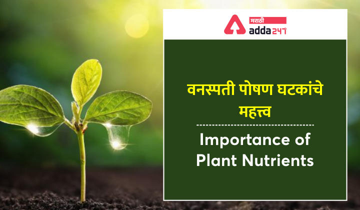 वनस्पती पोषण घटकांचे महत्त्व: MPSC अभ्यास साहित्य | Importance of Plant Nutrients: Study Material for MPSC