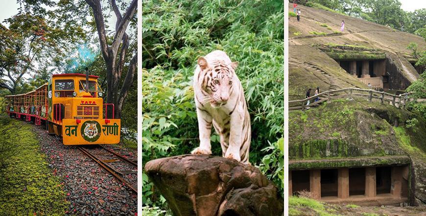 How many National Park in Maharashtra?, List of National Parks in Maharashtra_40.1