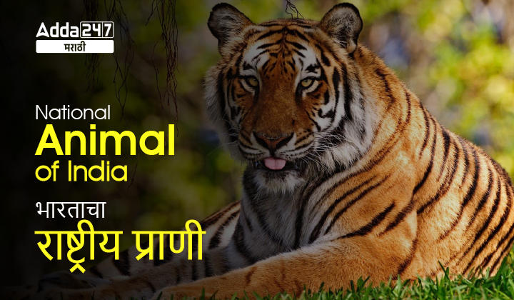 National Animal of India, Check State wise Population, Scientific Classification of National Animal of India_20.1