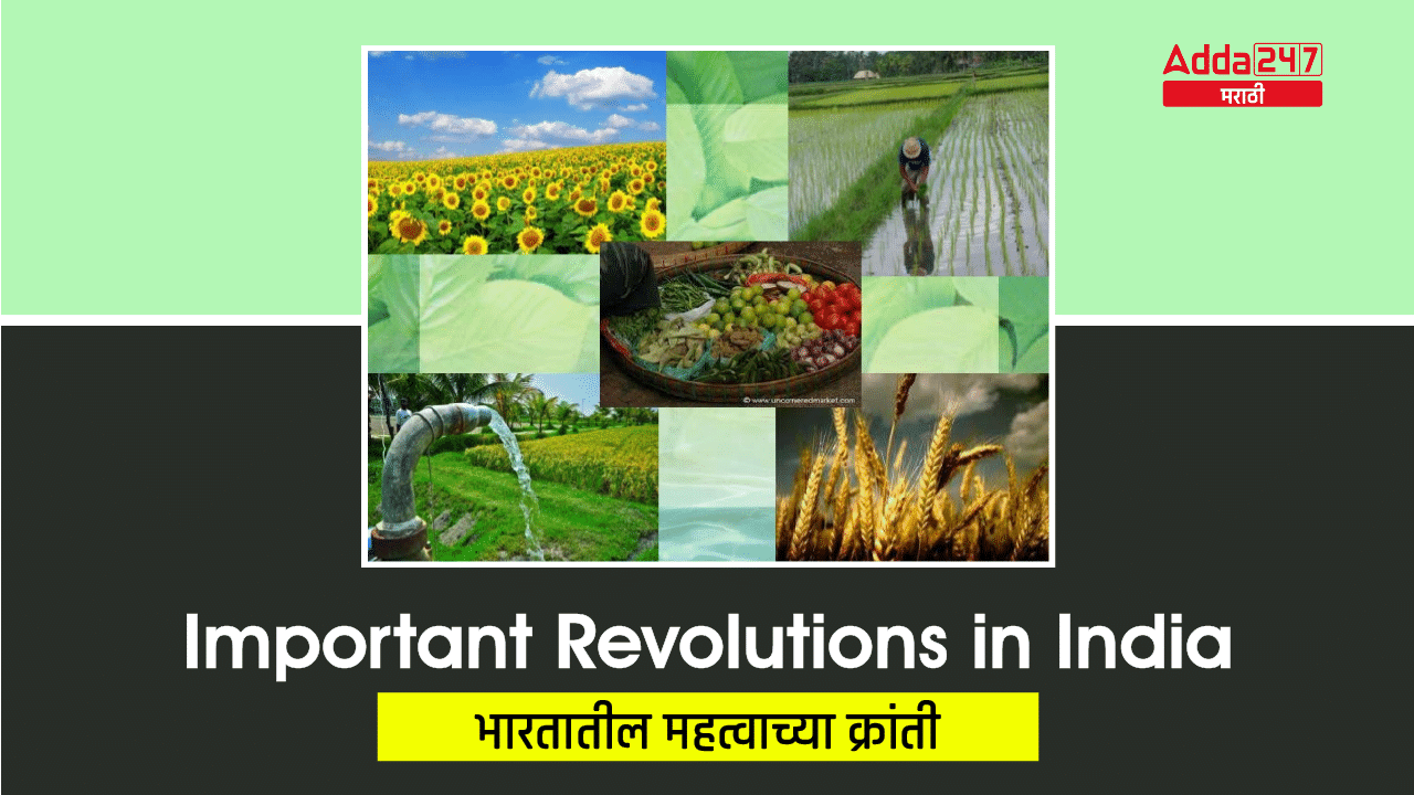 Important Revolutions in India