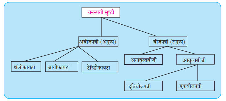 वनस्पतींचे वर्गीकरण | Classification of plants : महाराष्ट्र स्टेट बोर्ड सिरीज | Maharashtra State Board Series_3.1