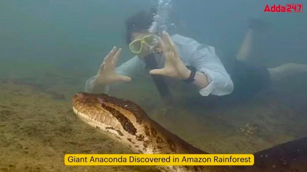 Giant Anaconda Discovered in Amazon Rainforest | ॲमेझॉन रेनफॉरेस्टमध्ये विशाल ॲनाकोंडा सापडला