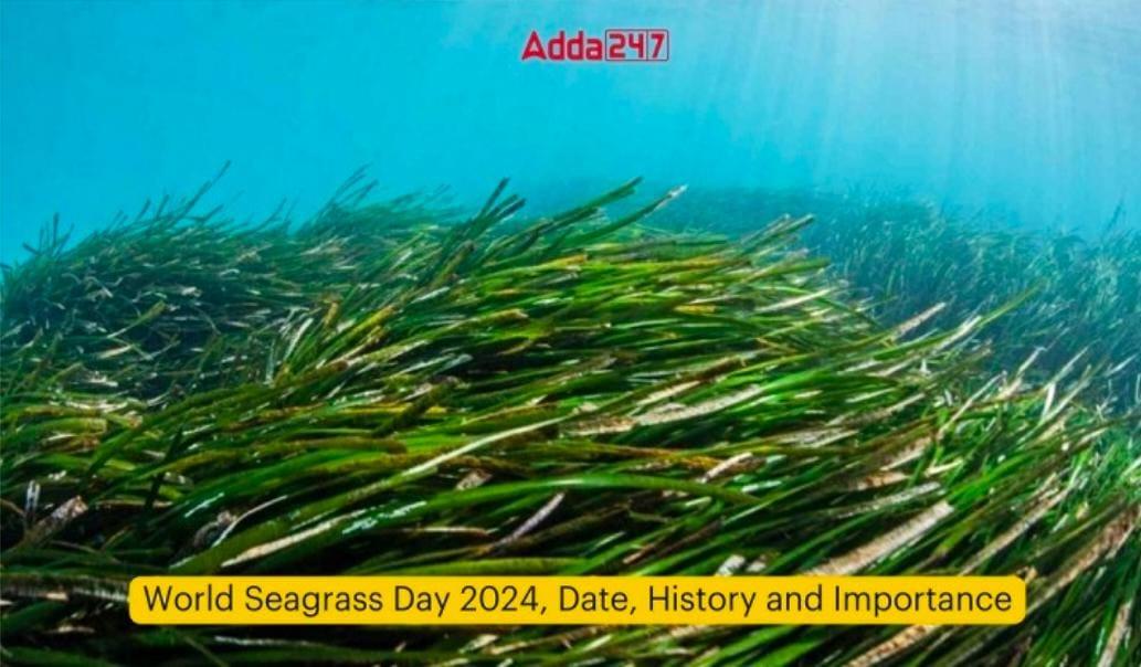 World Sea grass Day 2024 | जागतिक सागरी गवत दिवस 2024