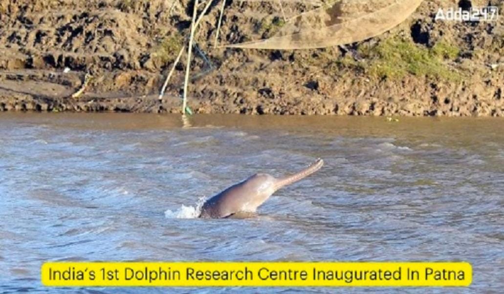 India’s 1st Dolphin Research Centre Inaugurated In Patna | भारतातील पहिल्या डॉल्फिन संशोधन केंद्राचे पाटणा येथे उद्घाटन करण्यात आले
