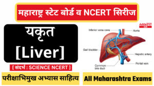 यकृत | Liver : महाराष्ट्र स्टेट बोर्ड व NCERT सिरीज | Maharashtra State Board and NCERT Series