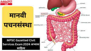 मानवी पचनसंस्था | Human Digestive System : MPSC Gazetted Civil Services Exam 2024 अभ्यास साहित्य