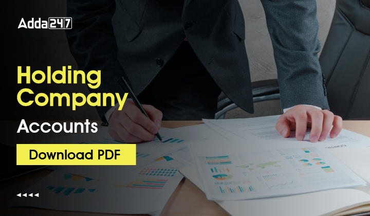 Holding Company Accounts, Download PDF-01