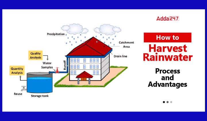 How to Harvest Rainwater - Process & Advantages-01
