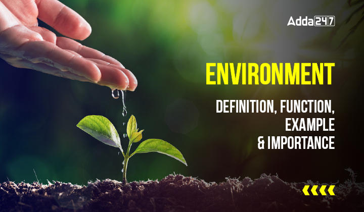 Environment - Definition, Function, Example & Importance-01