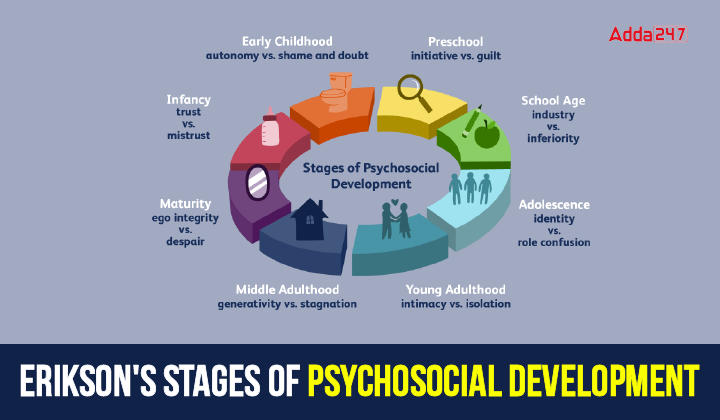 Erikson's Stages of Psychosocial Development-01