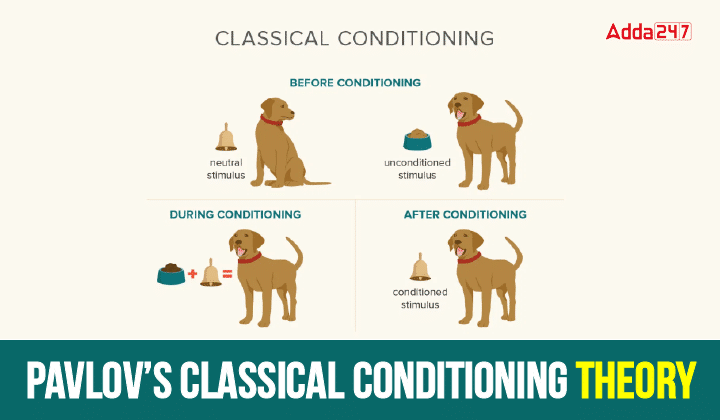 Pavlov’s Classical Conditioning Theory-01