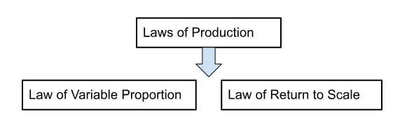Types of Law of Production