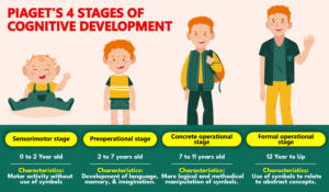 Piaget’s 4 Stages of Cognitive Development, Detailed Explanation