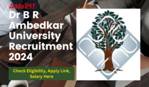Dr B R Ambedkar University Recruitment 2024, Eligibility, Apply Link