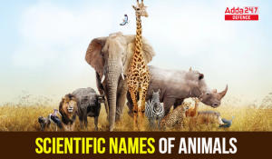 Scientific Names of Common Animals, Check List Here