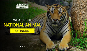 What is the National Animal of India