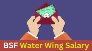 bsf water wing salary