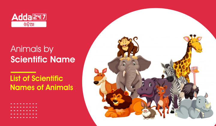 Animals by Scientific Name - List of Scientific Names of Animals
