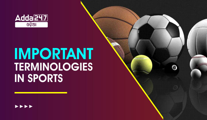 Important Terminologies in Sports
