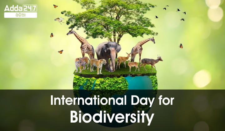 International Day for Biodiversity