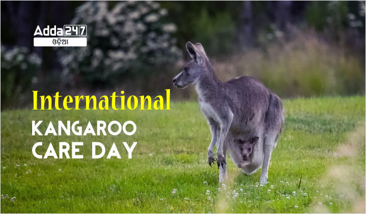 International Kangaroo Care Day