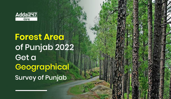 Forest Area of Punjab