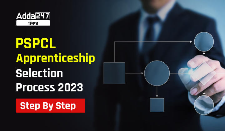 PSPCL Apprentice Selection Process 2023 Step By Step