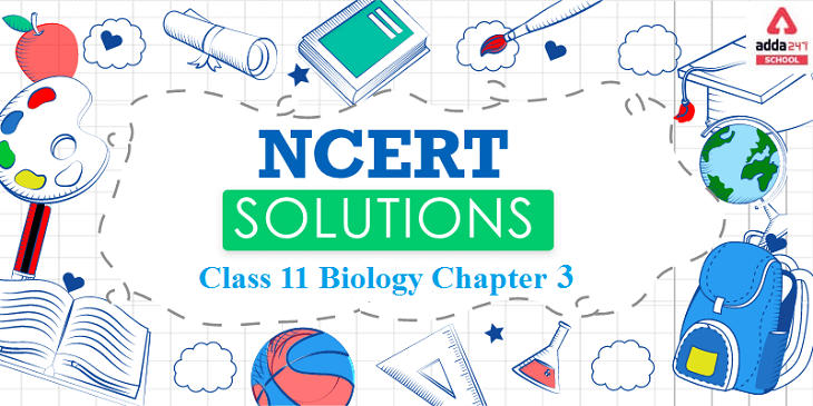 ncert solution class 11 biology chapter 3