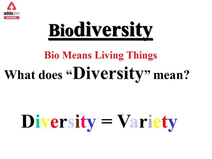 Biodiversity Meaning defination