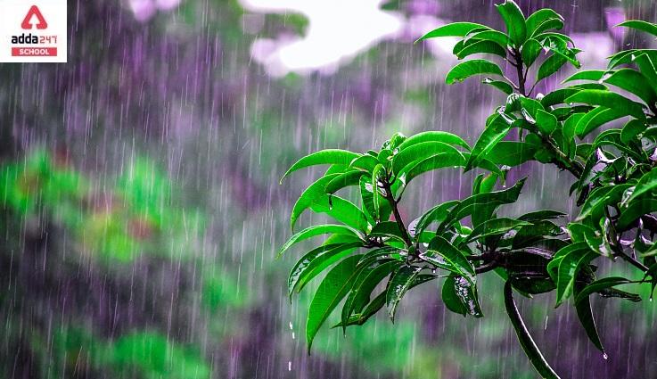 monsoon season in india