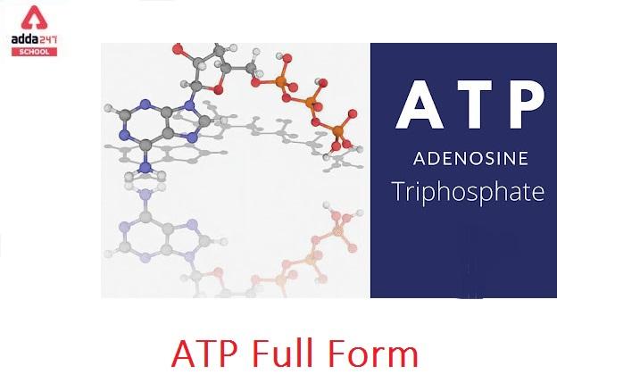 ATP Full Form in biology