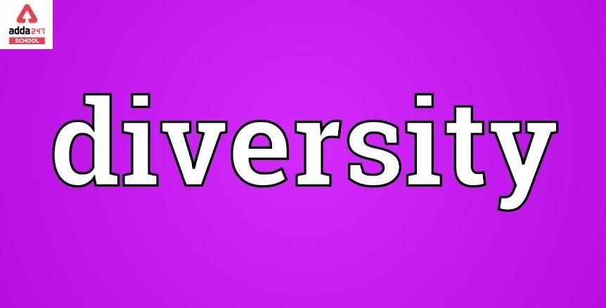 diversity meaning