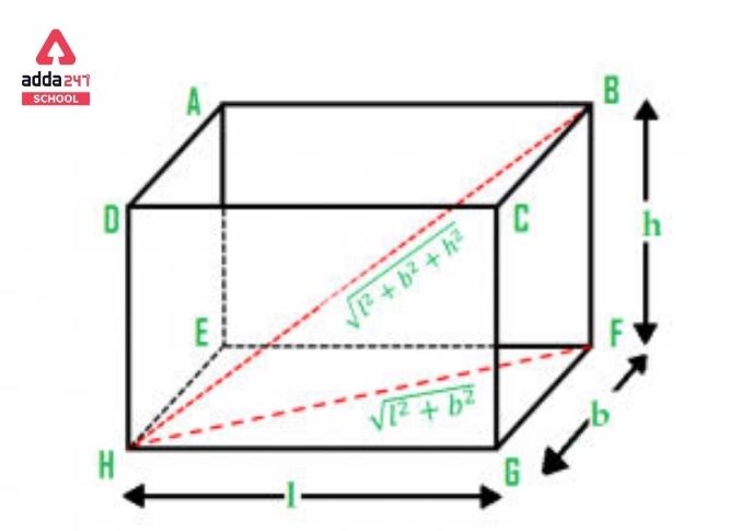 Volume of Cuboid Formula and Examples_5.1