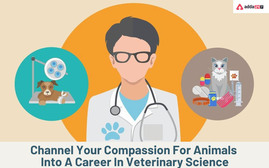 Channel Your Compassion For Animals Into A Career In Veterinary Science