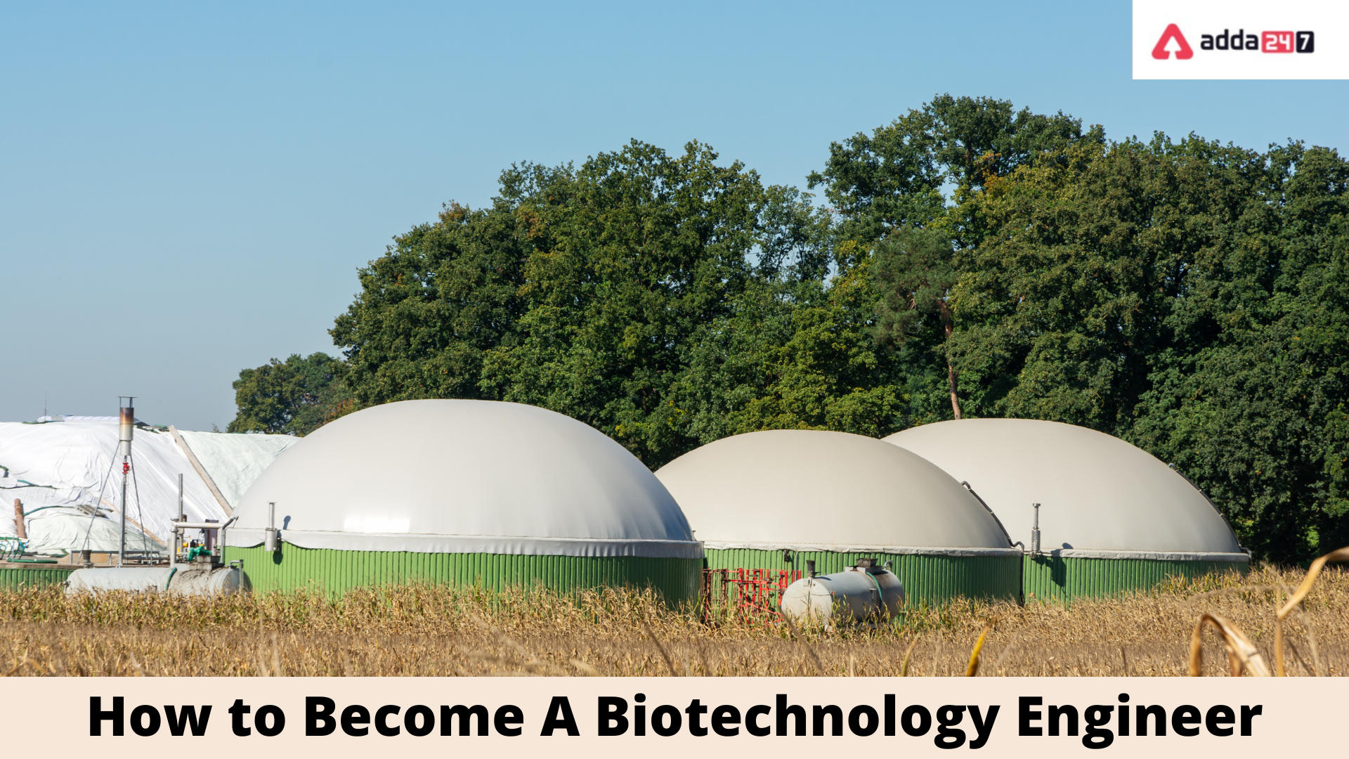 How to Become A Biotechnology Engineer?