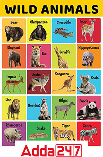 10 Wild Animals Names in English and Hindi_3.1