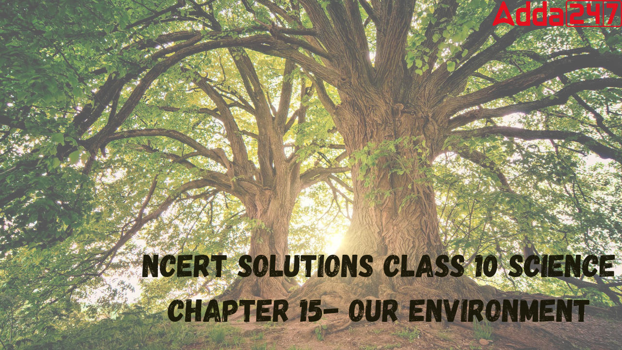 NCERT Solutions for Class 10 Science Chapter 15- Our Environment