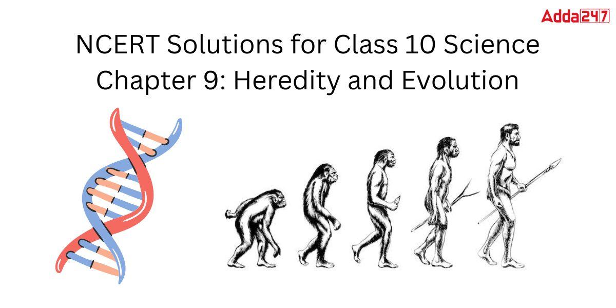 NCERT Solutions For Class 10 Science Chapter 9 Heredity and Evolution