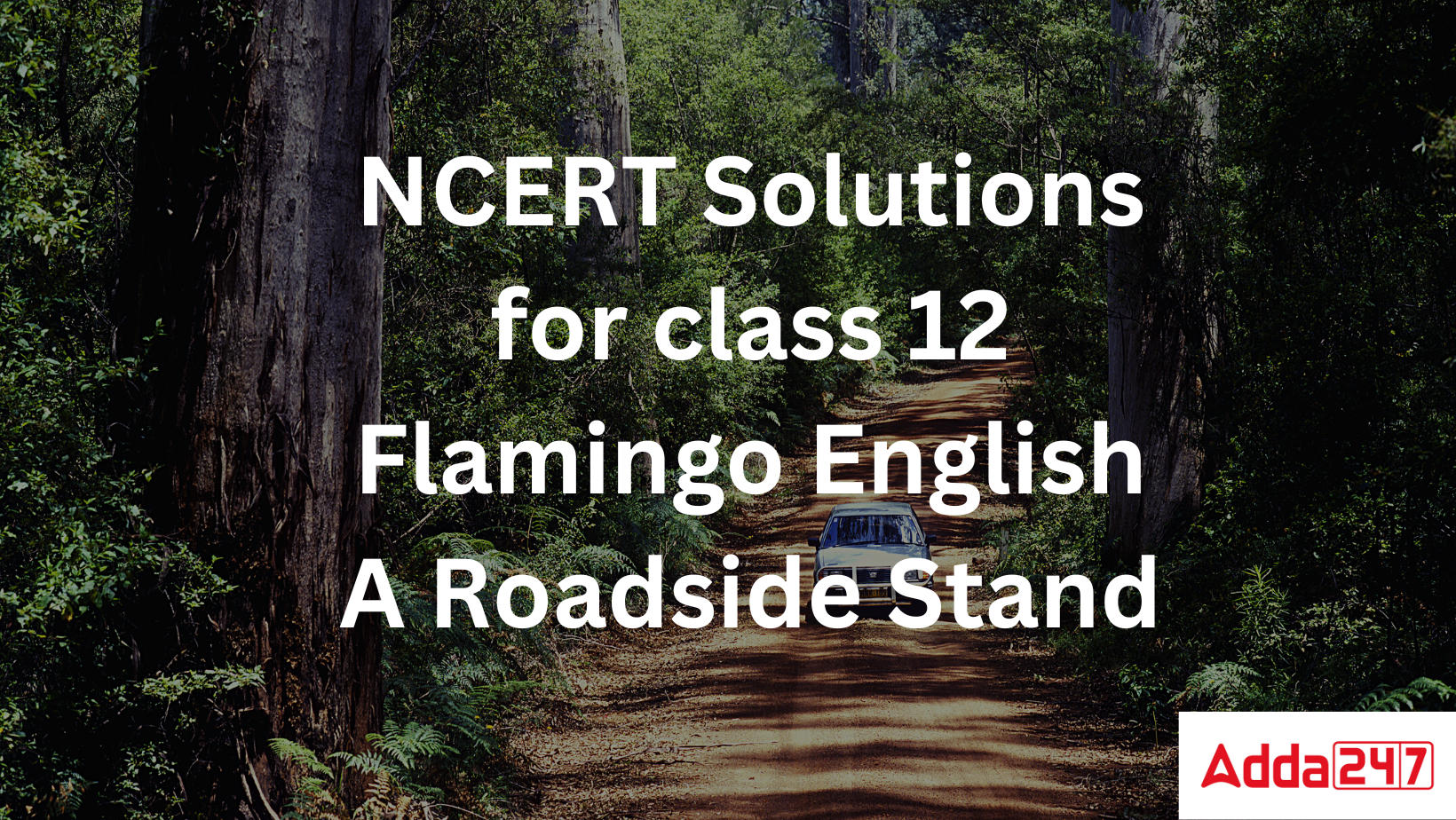 NCERT Solutions for class 12 Flamingo English A Roadside Stand