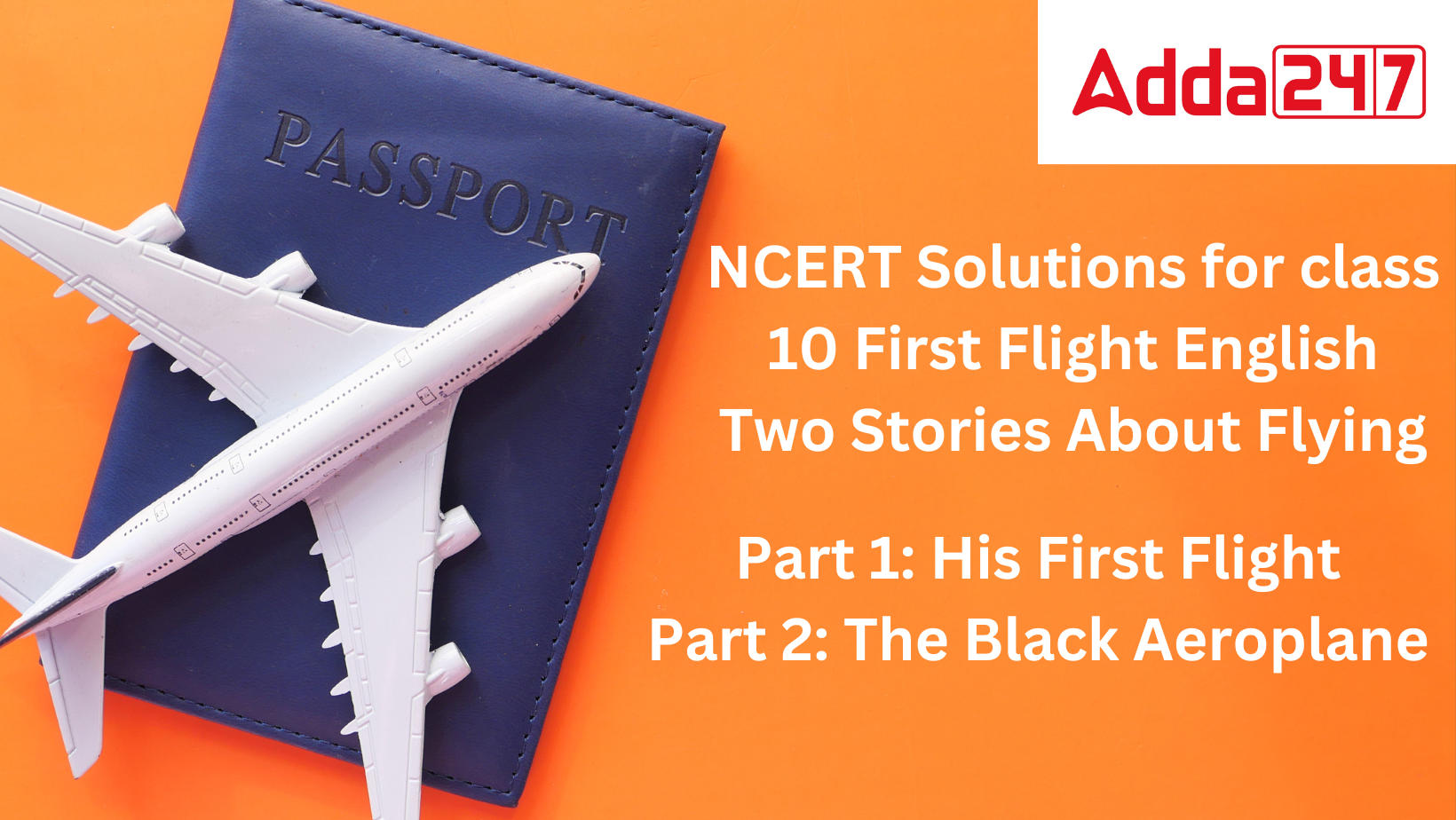 NCERT Solutions for class 10 First Flight English Two Stories About Flying