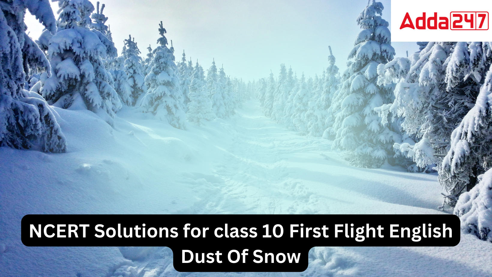 NCERT Solutions for class 10 First Flight English Dust Of Snow