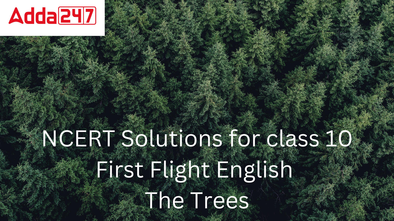 NCERT Solutions For Class 10 English First Flight Poetry Chapter 7 The Trees_20.1