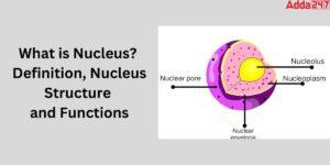 What is Nucleus- Nucleus Diagram, Structure & Function
